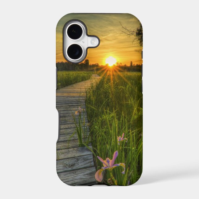 Prairie Sunset (Back)