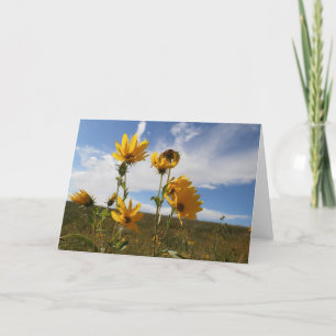 Prairie Sunset Greeting Card
