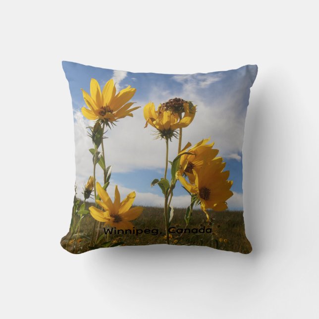 Prairie Sunset Throw Pillow (Front)