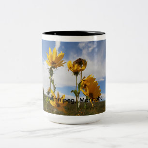 Prairie Sunset Two-Tone Coffee Mug