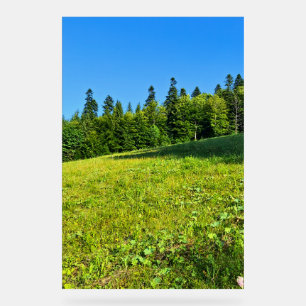 Prairie verte des Carpates – Impression de montagn