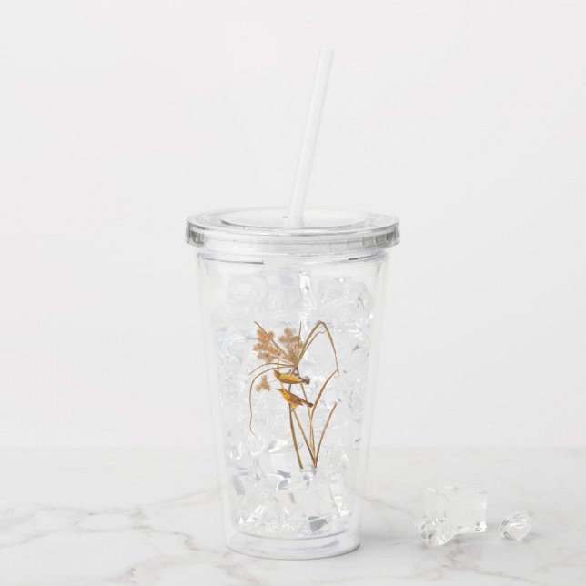 Prairie Warbler Audubon Yellow Bird Acrylic Tumbler (Back Ice)