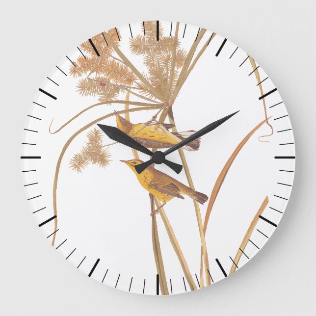 Prairie Warbler Audubon Yellow Bird Large Clock (Front)