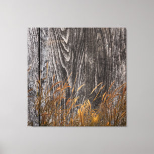 Prairie Wheat On Barn Board Canvas Print