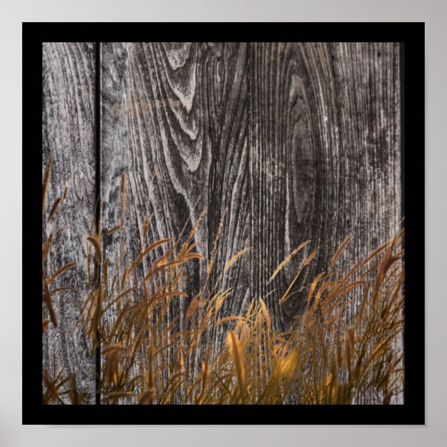 Prairie Wheat On Barn Board Poster (Front)