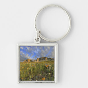 Prairie Wildflowers at Windy Creek in the Many Keychain