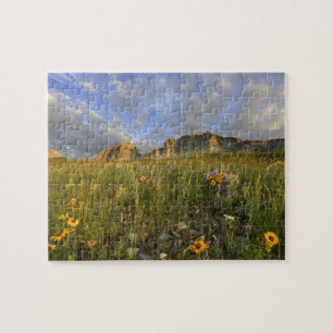 Prairie Wildflowers in Many Glacier Valley at Jigsaw Puzzle