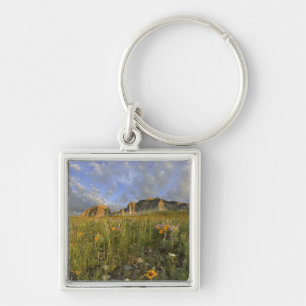 Prairie Wildflowers in Many Glacier Valley at Keychain