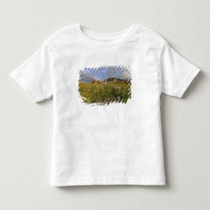 Prairie Wildflowers in Many Glacier Valley at Toddler T-shirt
