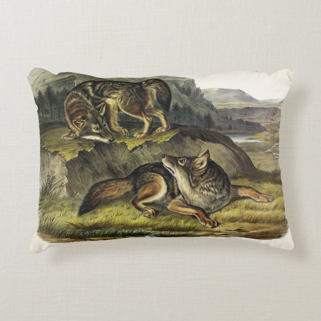 Prairie Wolf (Coyote) from Audubon's Quadrupeds Accent Pillow (Front)