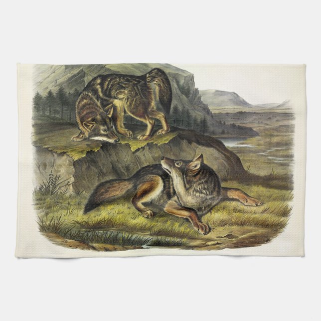 Prairie Wolf (Coyote) from Audubon's Quadrupeds Kitchen Towel (Horizontal)