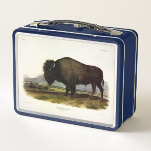 Prairie Wolf (Coyote) from Audubon's Quadrupeds Metal Lunch Box