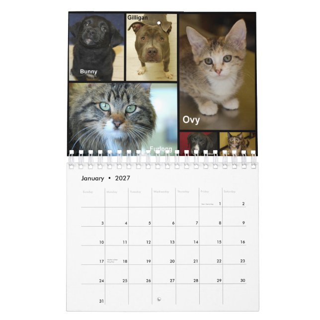 Prairie's Edge Humane Society 2012 Small Calendar (Jan 2027)