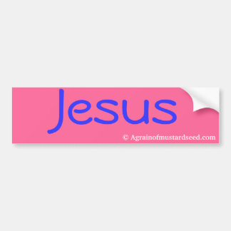 Praise Him N Pink Bible Quote Customize it Bumper Sticker