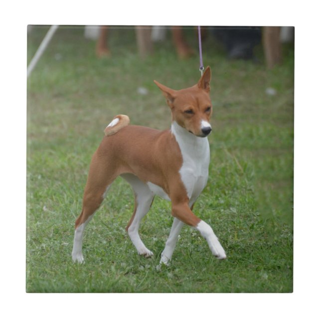 Prancing Basenji Dog Tile (Front)
