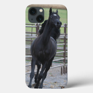 Prancing Black Arabian iPhone 13 Case