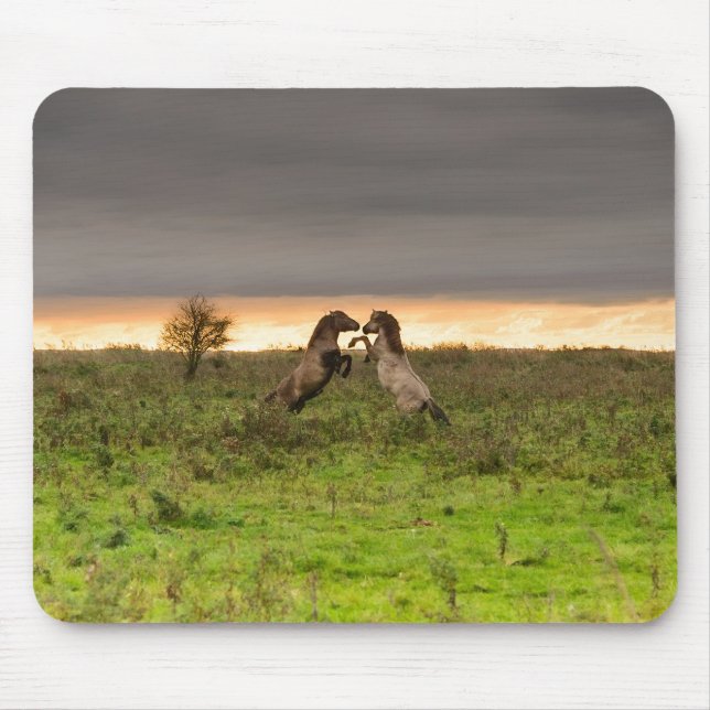 Prancing horses mousepad (Front)