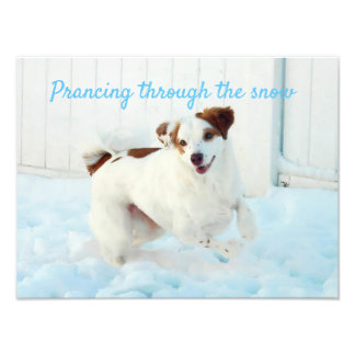 Prancing Through The Snow Photo Enlargement