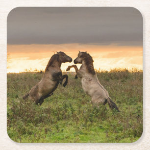Prancing wild horses coaster