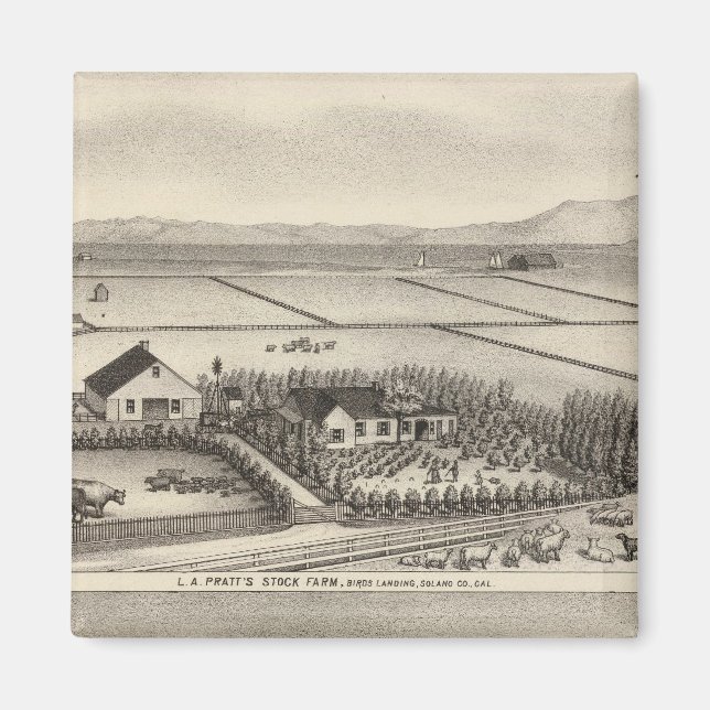 Pratt, Stewart farms Magnet (Front)