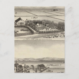 Pratt, Stewart farms Postcard