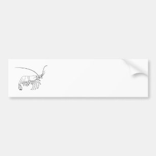Prawn Art Bumper Sticker
