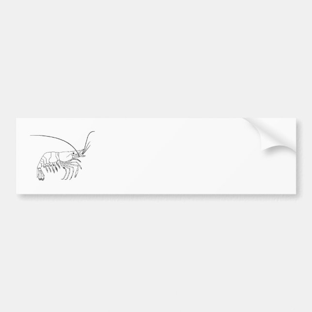 Prawn Art Bumper Sticker (Front)