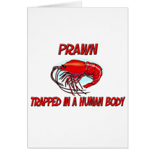 Prawn trapped in a human body