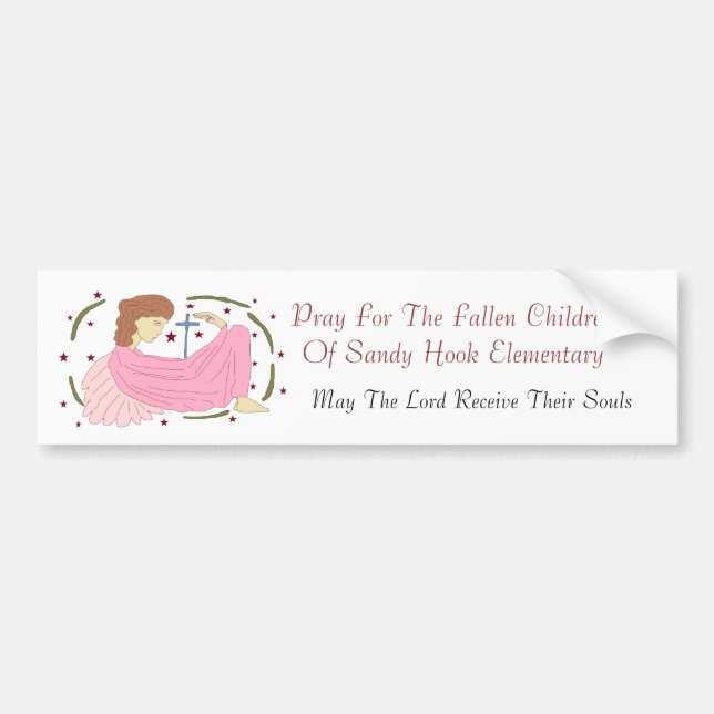 PRAY FOR THE FALLEN CHILDREN OF SANDY HOOK... BUMPER STICKER (Front)