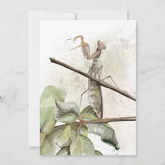 Pray Mantis watercolor  Invitation