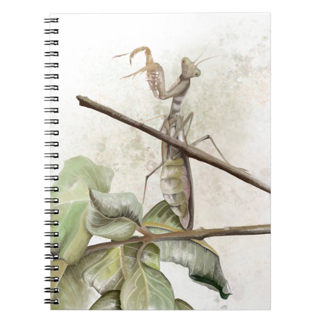 Pray Mantis watercolor  Notebook (Front)