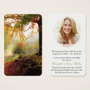 Prayer Cards   Forest