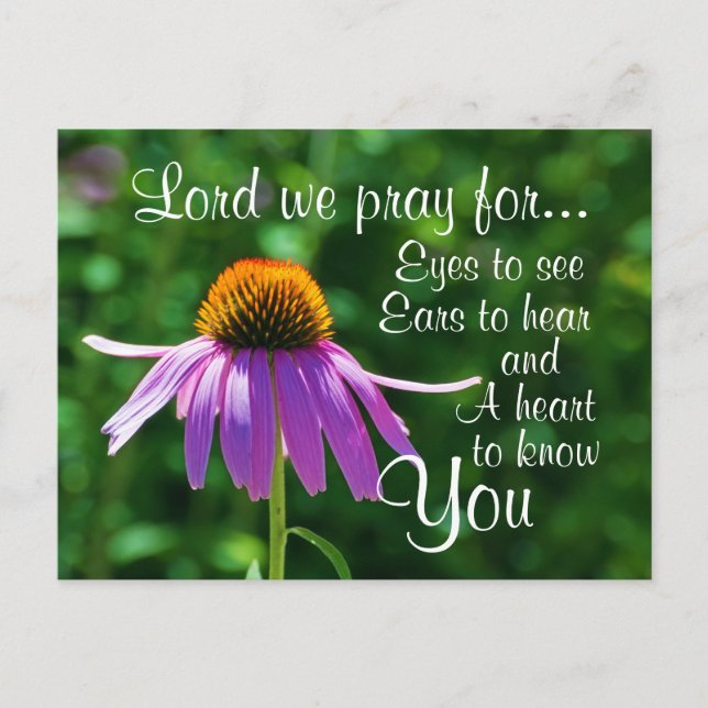 Prayer for Eyes to See and Ears to Hear, flower Postcard (Front)