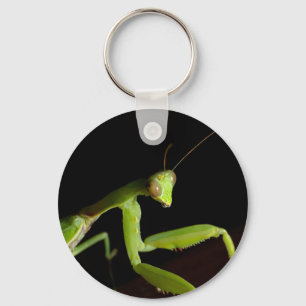 Praying mantid keychain
