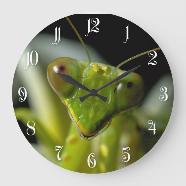 Praying mantid large clock (Front)