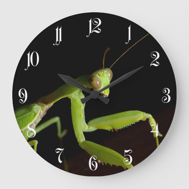 Praying mantid large clock (Front)