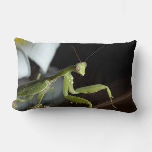 Praying mantid lumbar pillow