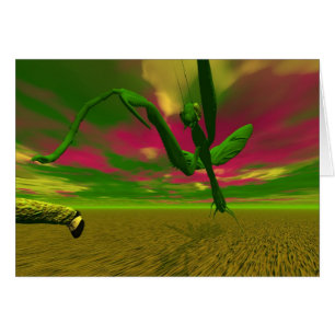 Praying mantis