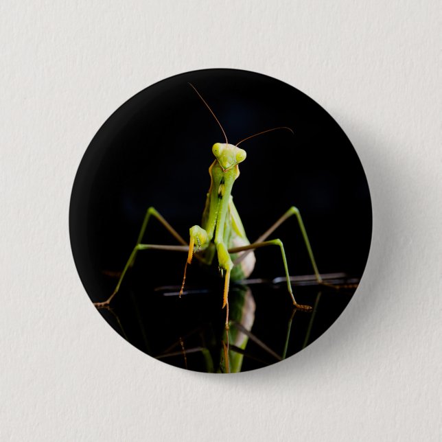 Praying mantis 2 inch round button (Front)