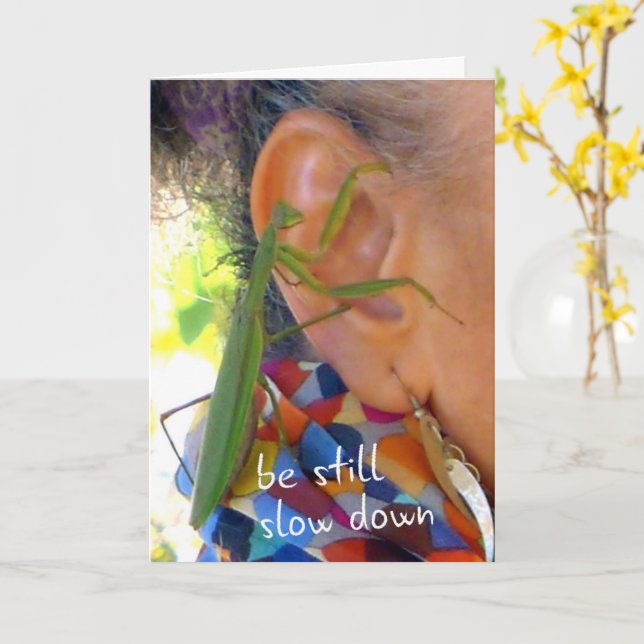 Praying Mantis - be still, slow down - card (Yellow Flower)