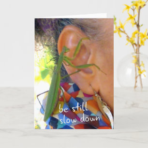 Praying Mantis - be still, slow down - card