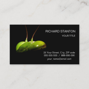 Praying mantis business card