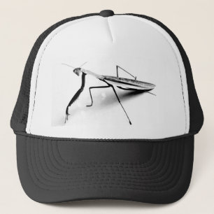 Praying Mantis Cap