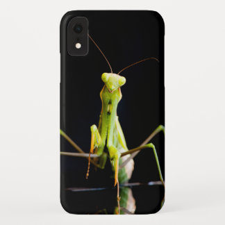 Praying mantis iPhone XR case
