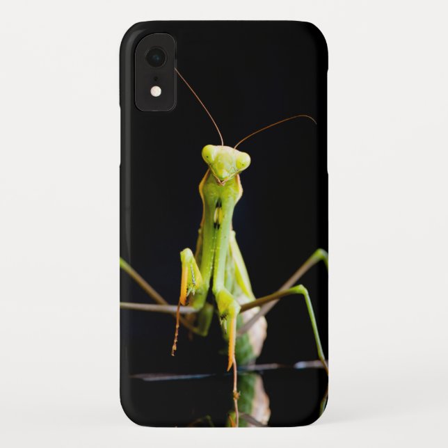 Praying mantis Case-Mate iPhone case (Back)