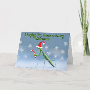 Praying Mantis Christmas Card W/ Personalized Name