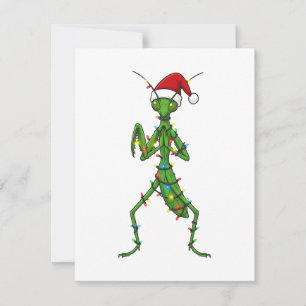 Praying Mantis Christmas Holiday Insect Bug Card