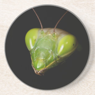 Praying mantis coaster