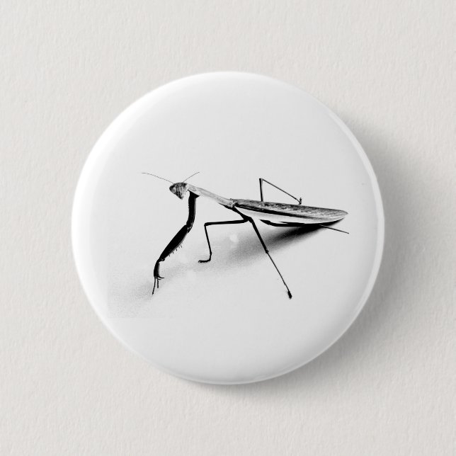 Praying Mantis Collection 2 Inch Round Button (Front)