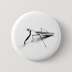 Praying Mantis Collection 2 Inch Round Button